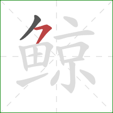 鲸的笔顺第2画：横钩