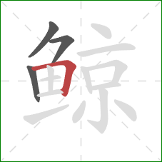 鲸的笔顺第4画：横折