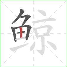 鲸的笔顺第6画：竖