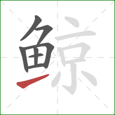 鲸的笔顺第8画：提