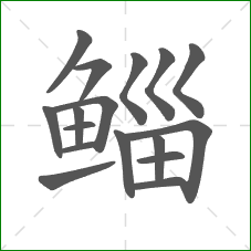 鲻的部首 鲻的部首