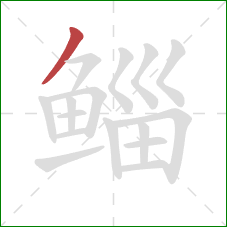 鲻的笔顺第1画:撇 鲻的笔顺第1画:撇