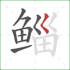 鲻的笔顺第10画:撇点 鲻的笔顺第10画:撇点