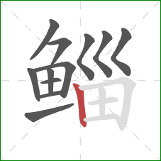 鲻的笔顺第12画:竖 鲻的笔顺第12画:竖
