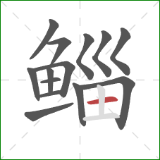 鲻的笔顺第14画:横 鲻的笔顺第14画:横