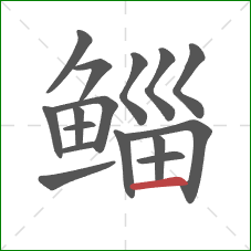 鲻的笔顺第16画:横 鲻的笔顺第16画:横