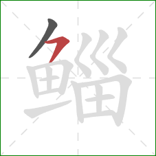 鲻的笔顺第2画:横撇 鲻的笔顺第2画:横撇