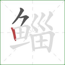 鲻的笔顺第3画:竖 鲻的笔顺第3画:竖