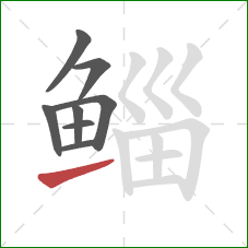 鲻的笔顺第8画:提 鲻的笔顺第8画:提