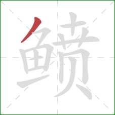 鲼的笔顺第1画:撇 鲼的笔顺第1画:撇