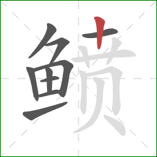 鲼的笔顺第10画:竖 鲼的笔顺第10画:竖