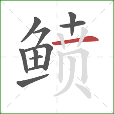 鲼的笔顺第11画:横 鲼的笔顺第11画:横