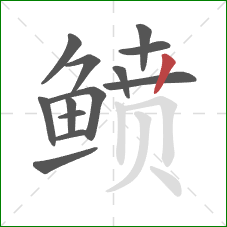 鲼的笔顺第13画:竖 鲼的笔顺第13画:竖