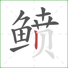 鲼的笔顺第14画:竖 鲼的笔顺第14画:竖