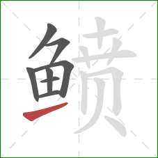 鲼的笔顺第8画:提 鲼的笔顺第8画:提