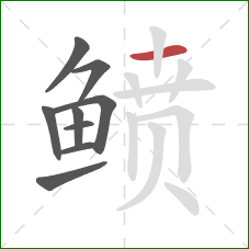 鲼的笔顺第9画:横 鲼的笔顺第9画:横