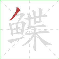 鲽的笔顺第1画：撇