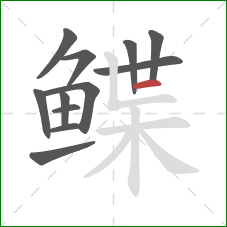 鲽的笔顺第12画：横