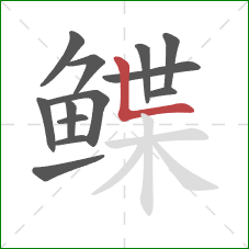 鲽的笔顺第13画：竖折