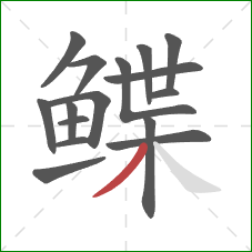 鲽的笔顺第16画：撇