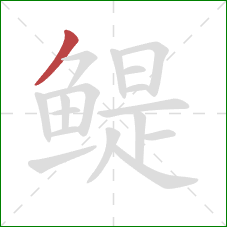 鳀的笔顺第1画:撇 鳀的笔顺第1画:撇