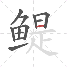 鳀的笔顺第12画:横 鳀的笔顺第12画:横