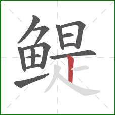 鳀的笔顺第14画:竖 鳀的笔顺第14画:竖