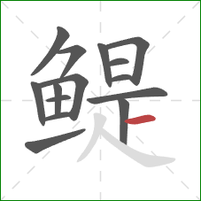 鳀的笔顺第15画:横 鳀的笔顺第15画:横