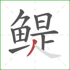 鳀的笔顺第16画:撇 鳀的笔顺第16画:撇