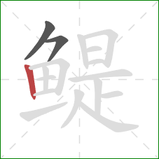 鳀的笔顺第3画:竖 鳀的笔顺第3画:竖