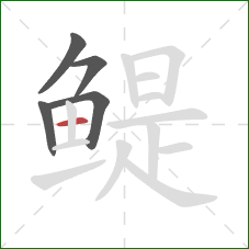 鳀的笔顺第5画:横 鳀的笔顺第5画:横