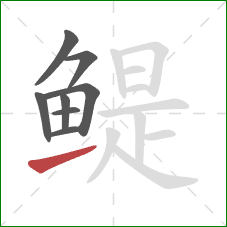 鳀的笔顺第8画:提 鳀的笔顺第8画:提