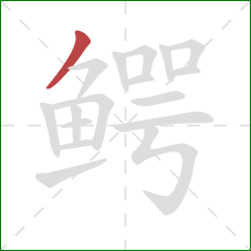 鳄的笔顺第1画:撇 鳄的笔顺第1画:撇