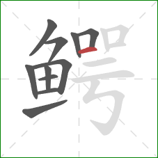 鳄的笔顺第11画:横 鳄的笔顺第11画:横