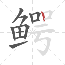 鳄的笔顺第12画:竖 鳄的笔顺第12画:竖