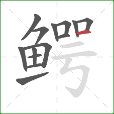 鳄的笔顺第14画:横 鳄的笔顺第14画:横