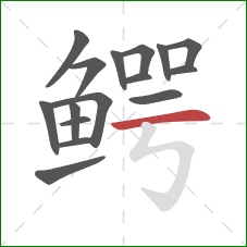 鳄的笔顺第16画:横 鳄的笔顺第16画:横