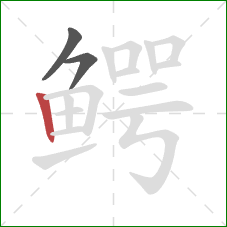 鳄的笔顺第3画:竖 鳄的笔顺第3画:竖