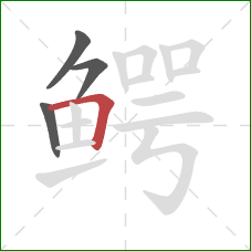 鳄的笔顺第4画:横折 鳄的笔顺第4画:横折