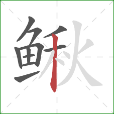鳅的笔顺第11画:竖 鳅的笔顺第11画:竖