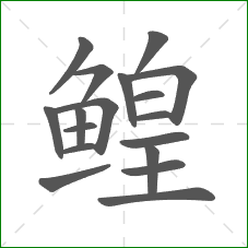 鳇的部首 鳇的部首