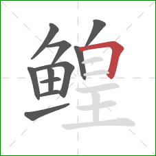 鳇的笔顺第11画:横折 鳇的笔顺第11画:横折