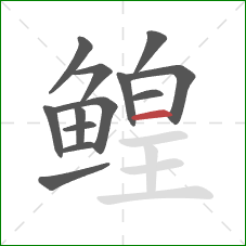 鳇的笔顺第13画:横 鳇的笔顺第13画:横