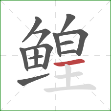 鳇的笔顺第14画:横 鳇的笔顺第14画:横