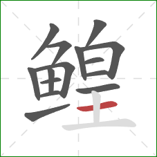 鳇的笔顺第15画:横 鳇的笔顺第15画:横