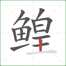 鳇的笔顺第16画:竖 鳇的笔顺第16画:竖