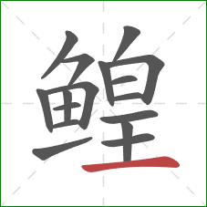 鳇的笔顺第17画:横 鳇的笔顺第17画:横