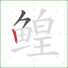 鳇的笔顺第3画:竖 鳇的笔顺第3画:竖