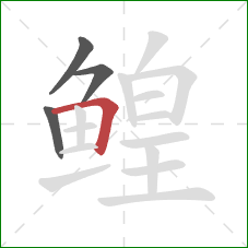 鳇的笔顺第4画:横折 鳇的笔顺第4画:横折