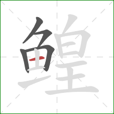 鳇的笔顺第5画:横 鳇的笔顺第5画:横